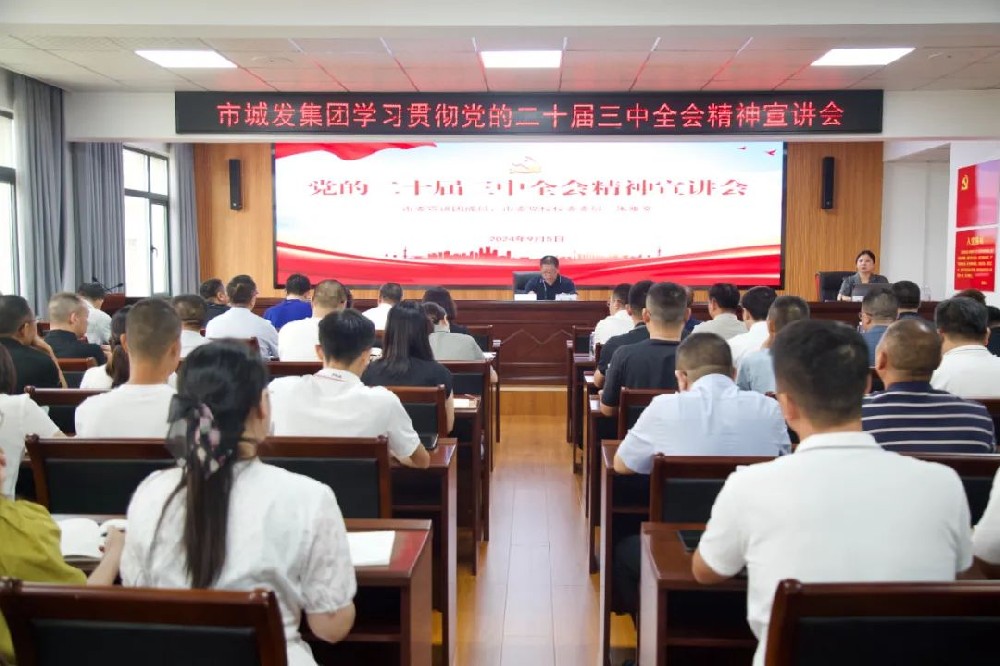 市44118太阳成城集团召开学习贯彻党的二十届三中全会精神宣讲会