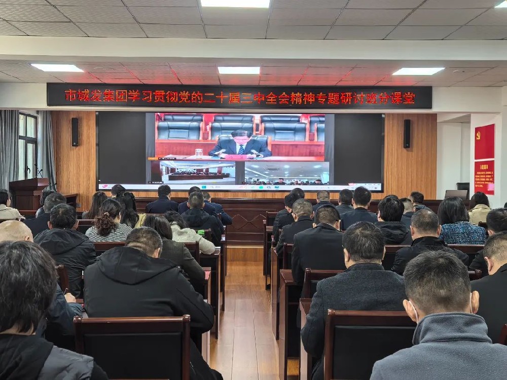 44118太阳成城集团开展学习贯彻党的二十届三中全会精神专题研讨班分课堂活动