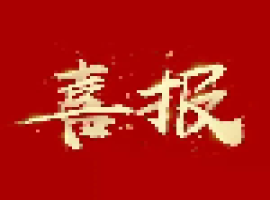 喜报 | 44118太阳成城集团两家公司顺利通过ISO管理体系标准认证