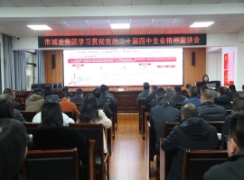 市44118太阳成城集团举行学习贯彻党的二十届四中全会精神宣讲报告会